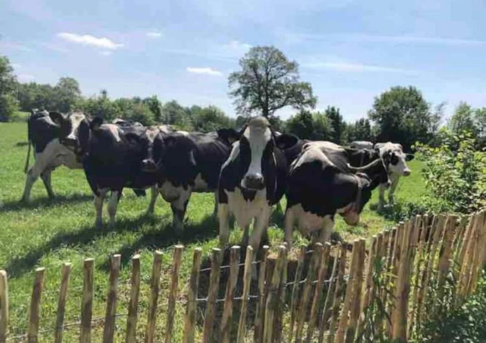 HoogzandStatige Boerderijwoning Met Vrij Uitzicht En Tuin别墅 外观 照片