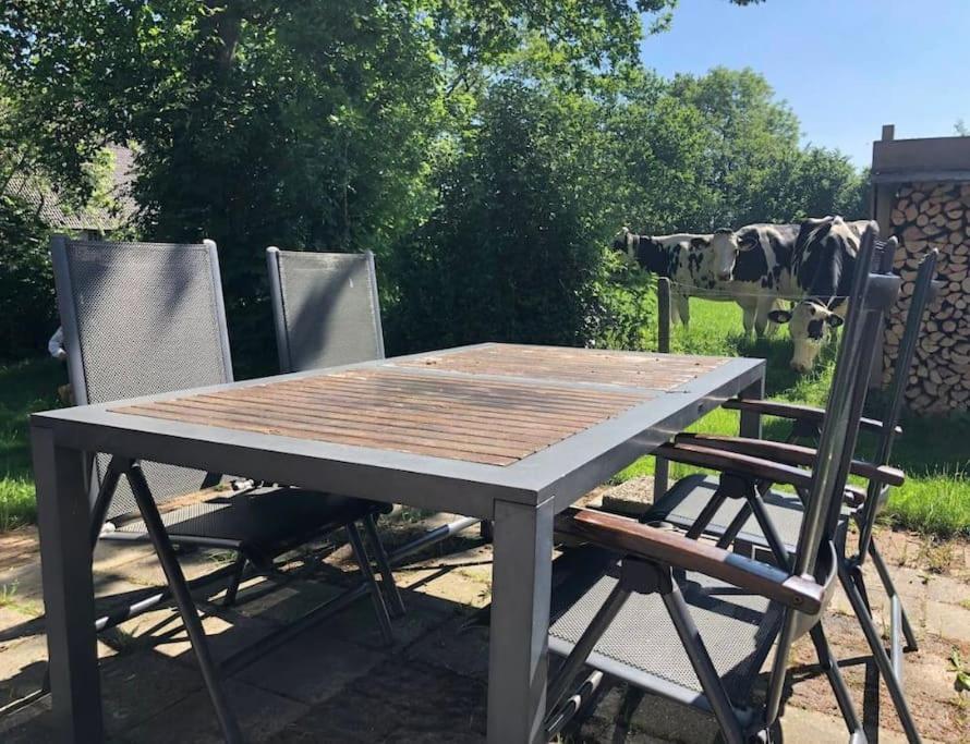 HoogzandStatige Boerderijwoning Met Vrij Uitzicht En Tuin别墅 外观 照片